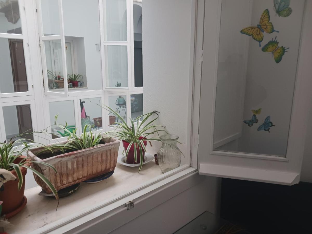 Habitacion Privada Con Bano. Cádiz Exteriér fotografie
